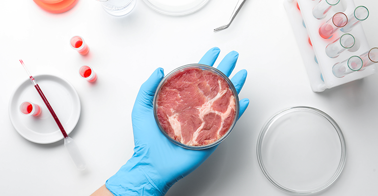 © Copyright Credit: Punchy Drinks